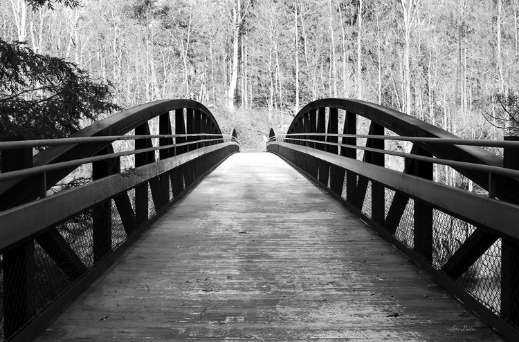 Picture of WICONISCO CREEK BRIDGE