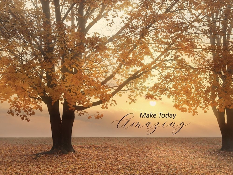 Picture of MAKE TODAY AMAZING