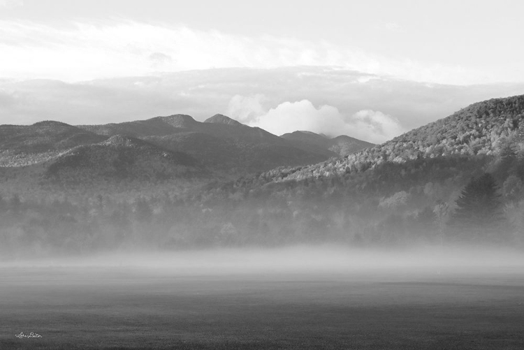 Picture of FOGGY MORNING MOUNTAINS