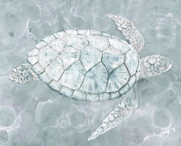 Picture of SEA TURTLE 