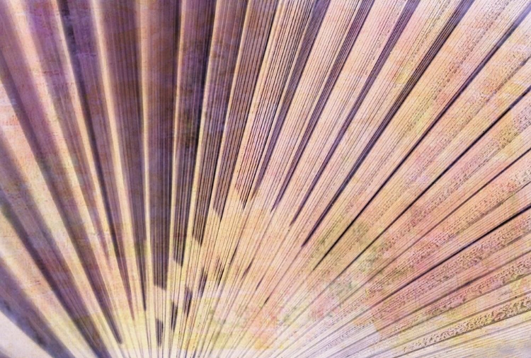 Picture of PALM LEAF ELEMENTS II