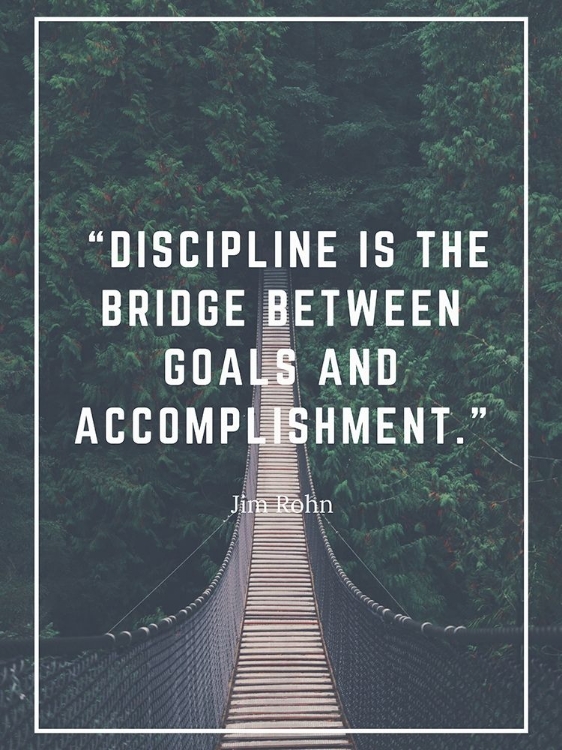 Picture of JIM ROHN QUOTE: BRIDGE BETWEEN GOALS