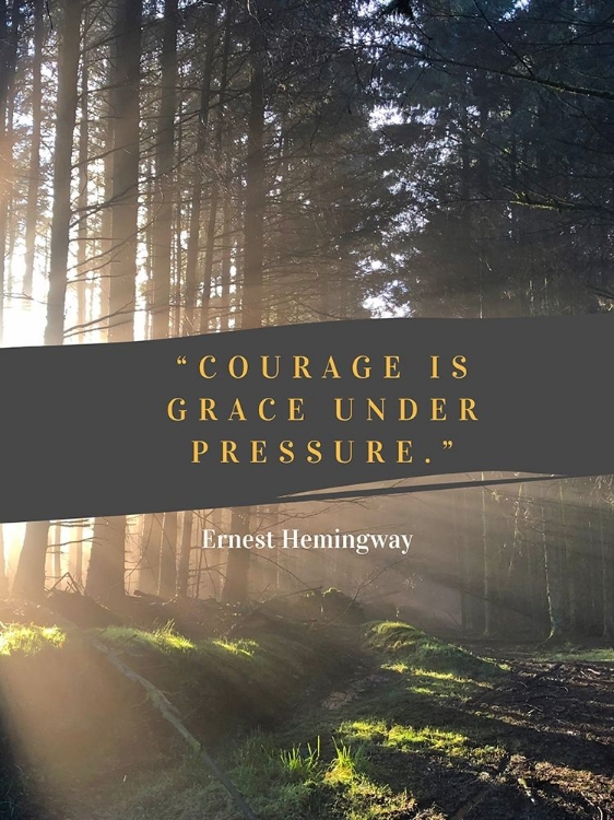 Picture of ERNEST HEMINGWAY QUOTE: COURAGE IS GRACE