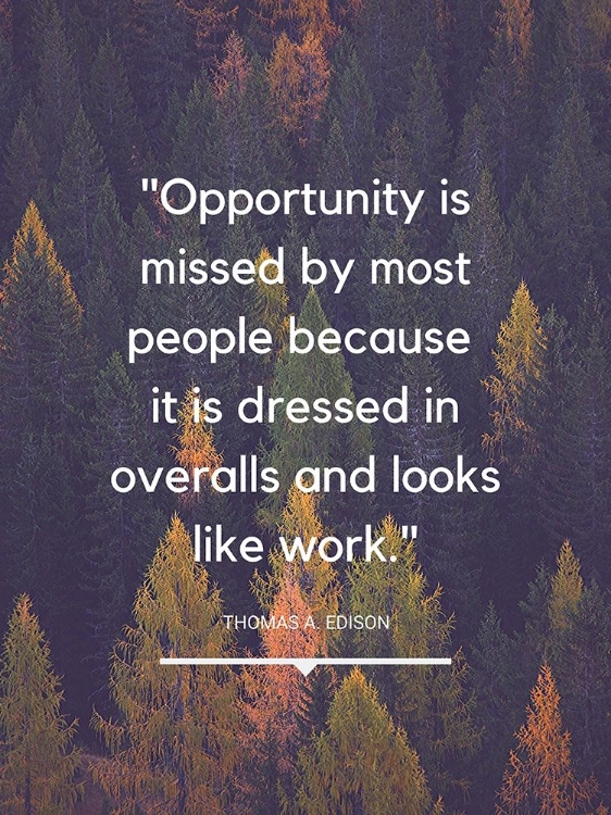 Picture of THOMAS EDISON QUOTE: OPPORTUNITY MISSED