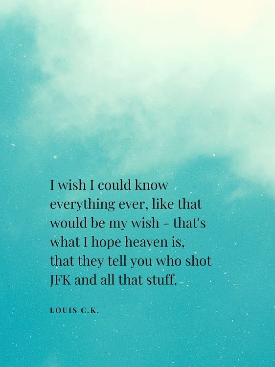 Picture of LOUIS C. K. QUOTE: I WISH