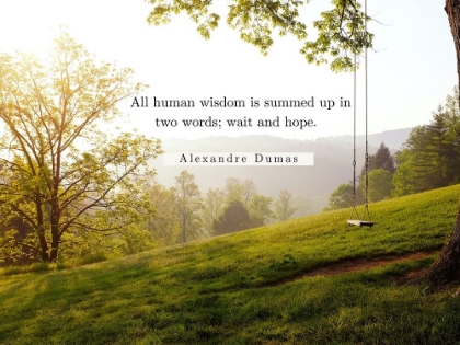 Picture of ALEXANDRE DUMAS QUOTE: HUMAN WISDOM