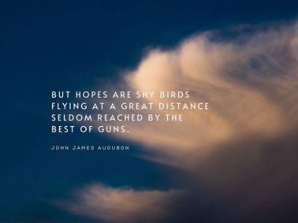 Picture of JOHN JAMES AUDUBON QUOTE: SHY BIRDS FLYING