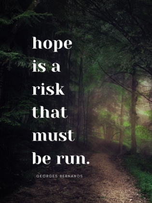 Picture of GEORGES BERNANOS QUOTE: HOPE IS A RISK