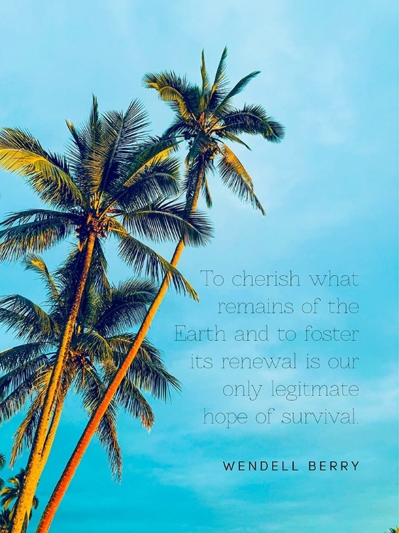 Picture of WENDELL BERRY QUOTE: TO CHERISH