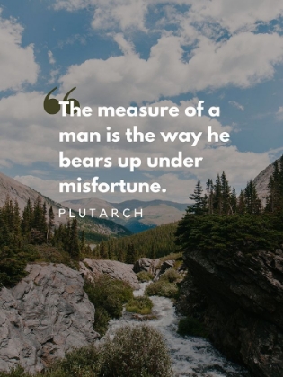 Picture of PLUTARCH QUOTE: MISFORTUNE