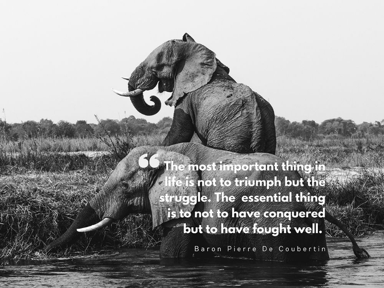 Picture of BARON PIERRE DE COUBERTIN QUOTE: LIFE IS NOT TO TRIUMPH