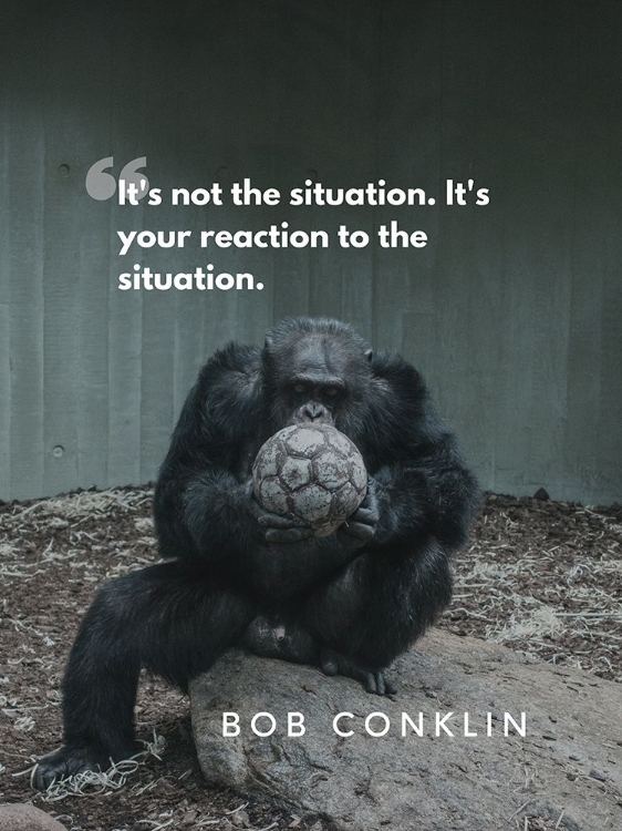 Picture of BOB CONKLIN QUOTE: REACTION