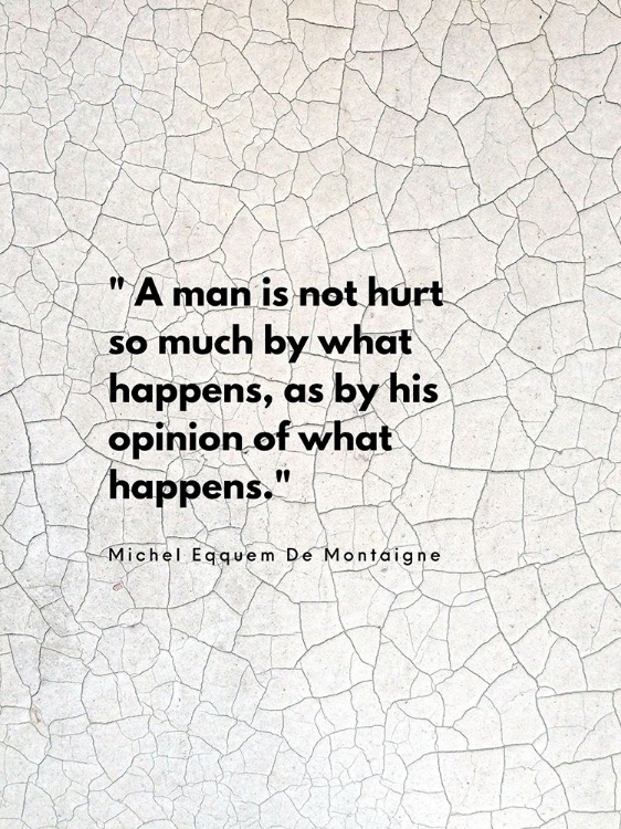 Picture of MICHEL EQQUEM DE MONTAIGNE QUOTE: HIS OPINION