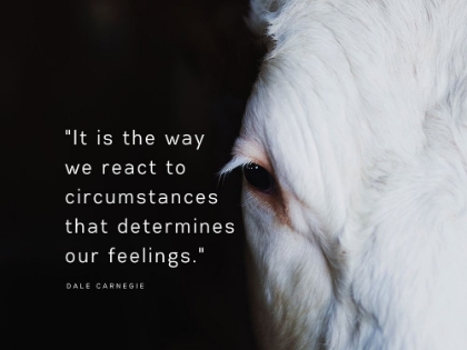 Picture of DALE CARNEGIE QUOTE: OUR FEELINGS