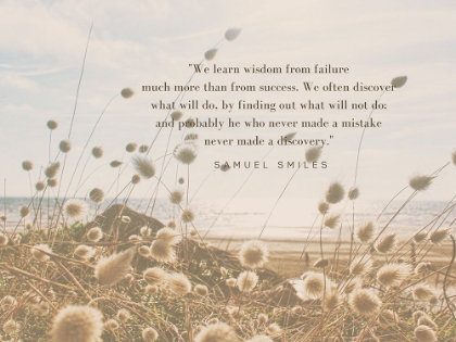 Picture of SAMUEL SMILES QUOTE: WISDOM FROM FAILURE