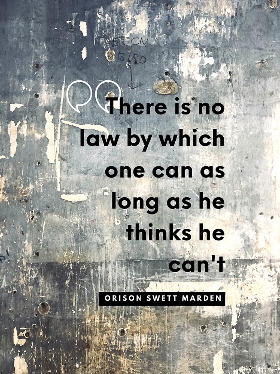 Picture of ORISON SWETT MARDEN QUOTE: THERE IS NO LAW