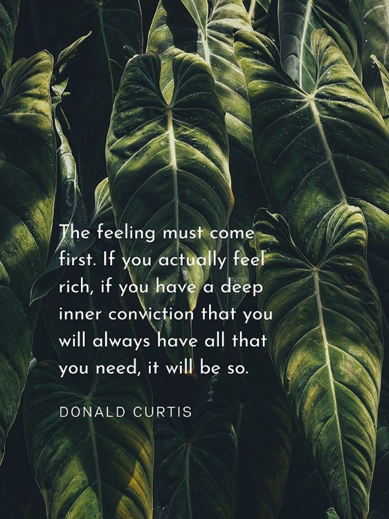 Picture of DONALD CURTIS QUOTE: DEEP INNER CONVICTION