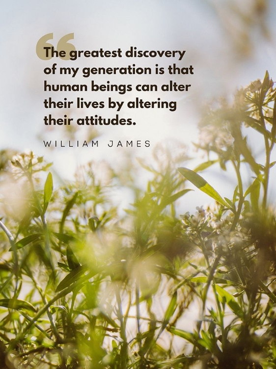 Picture of WILLIAM JAMES QUOTE: GREATEST DISCOVERY