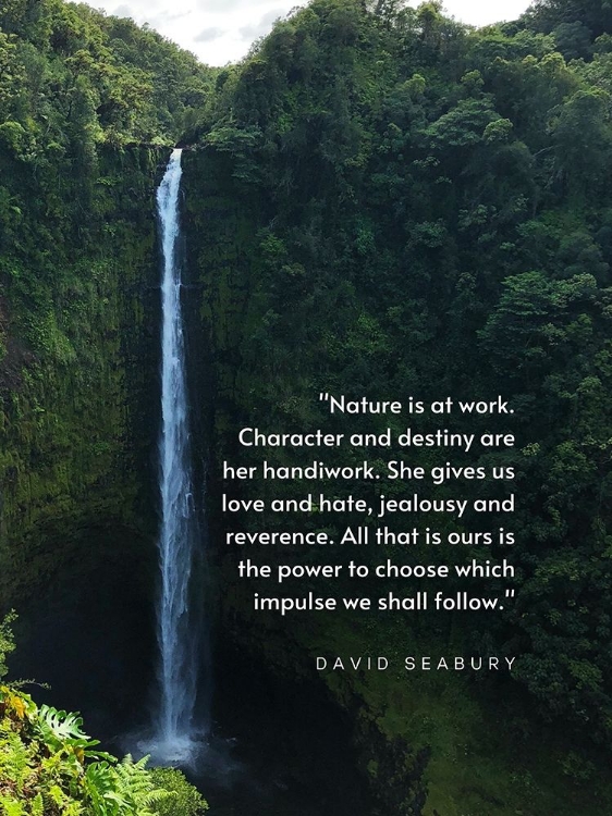 Picture of DAVID SEABURY QUOTE: NATURE IS AT WORK