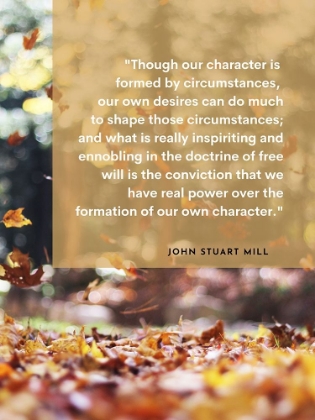 Picture of JOHN STUART MILL QUOTE: OUR OWN DESIRES