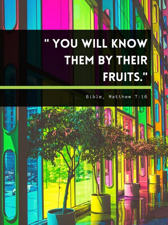 Picture of BIBLE VERSE QUOTE MATTHEW 7:16