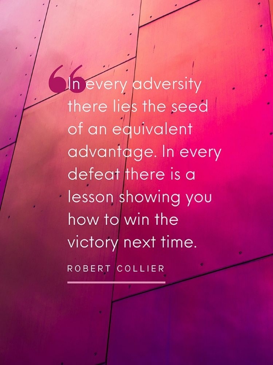 Picture of ROBERT COLLIER QUOTE: EVERY ADVERSITY