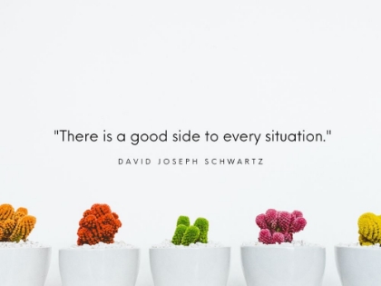 Picture of DAVID JOSEPH SCHWARTZ QUOTE: EVERY SITUATION