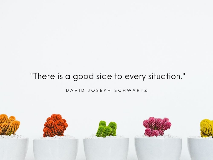 Picture of DAVID JOSEPH SCHWARTZ QUOTE: EVERY SITUATION