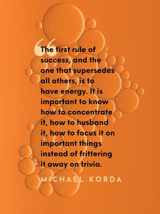 Picture of MICHAEL KORDA QUOTE: THE FIRST RULE OF SUCCESS