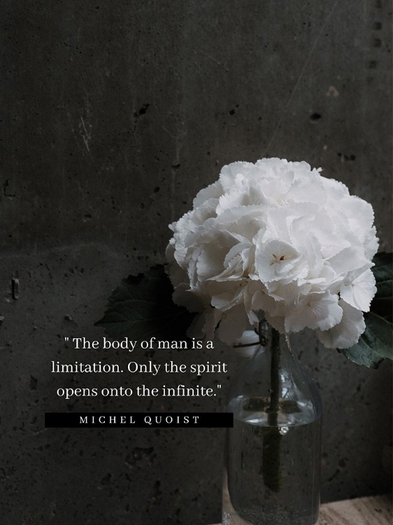 Picture of MICHEL QUOIST QUOTE: THE BODY OF MAN