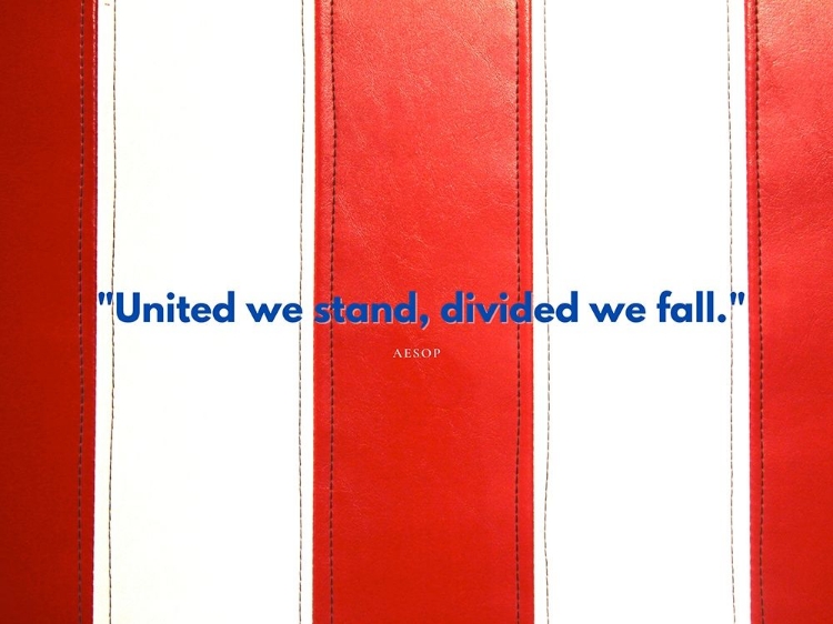 Picture of AESOP QUOTE: UNITED WE STAND