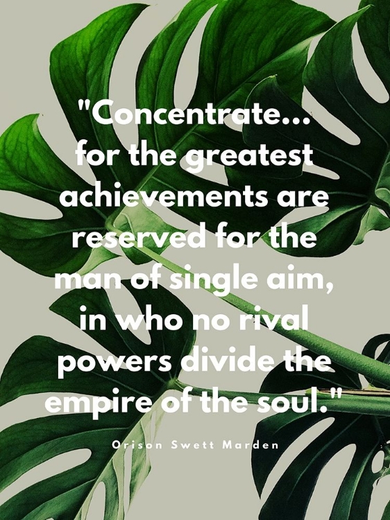 Picture of ORISON SWETT MARDEN QUOTE: CONCENTRATE