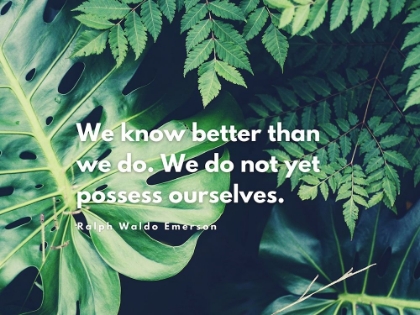 Picture of RALPH WALDO EMERSON QUOTE: WE KNOW BETTER THAN WE DO