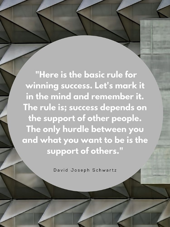 Picture of DAVID JOSEPH SCHWARTZ QUOTE: WINNING SUCCESS