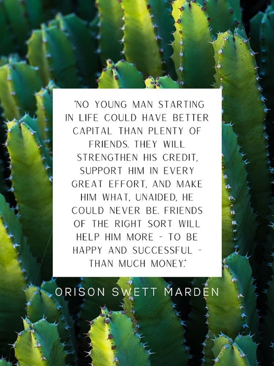 Picture of ORISON SWETT MARDEN QUOTE: PLENTY OF FRIENDS