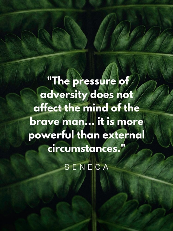 Picture of SENECA QUOTE: ADVERSITY