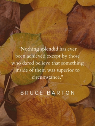 Picture of BRUCE BARTON QUOTE: NOTHING SPLENDID