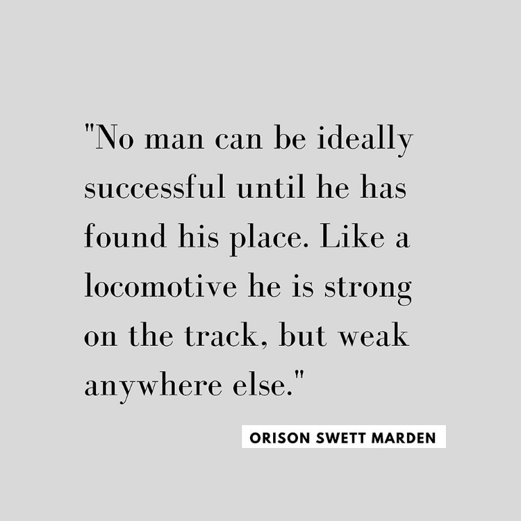 Picture of ORISON SWETT MARDEN QUOTE: IDEALLY SUCCESSFUL