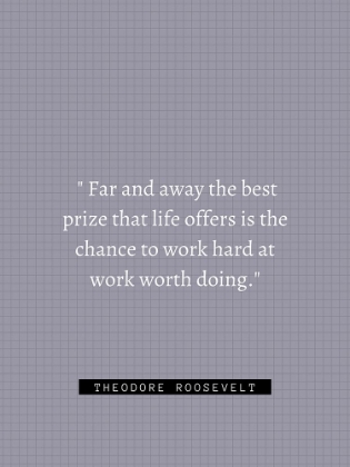 Picture of THEORDORE ROOSEVELT QUOTE: WORK HARD