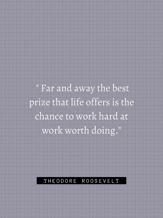 Picture of THEORDORE ROOSEVELT QUOTE: WORK HARD