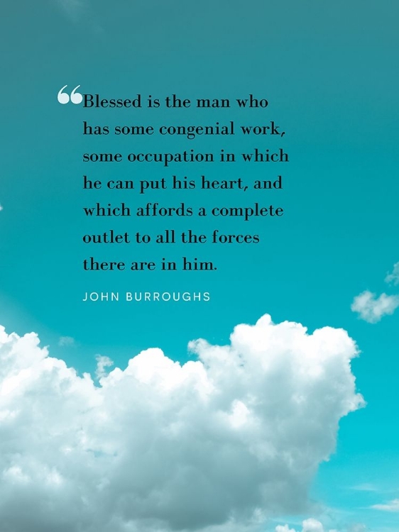 Picture of JOHN BURROUGHS QUOTE: CONGENIAL WORK