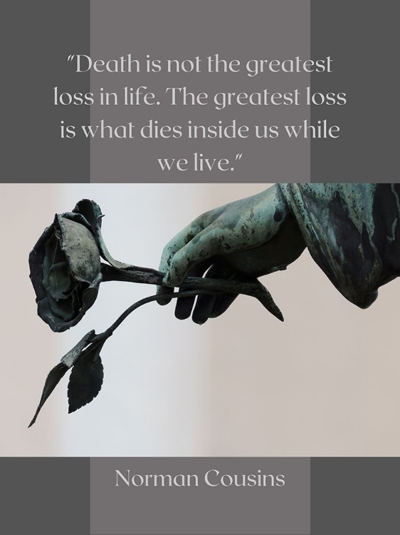 Picture of NORMAN COUSINS QUOTE: LOSS OF LIFE