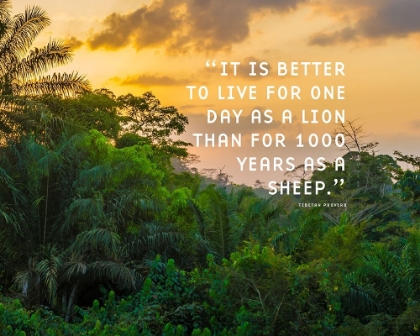 Picture of TIBETAN PROVERB QUOTE: ONE DAY AS A LION