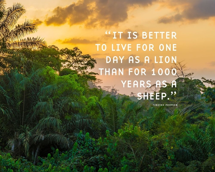 Picture of TIBETAN PROVERB QUOTE: ONE DAY AS A LION