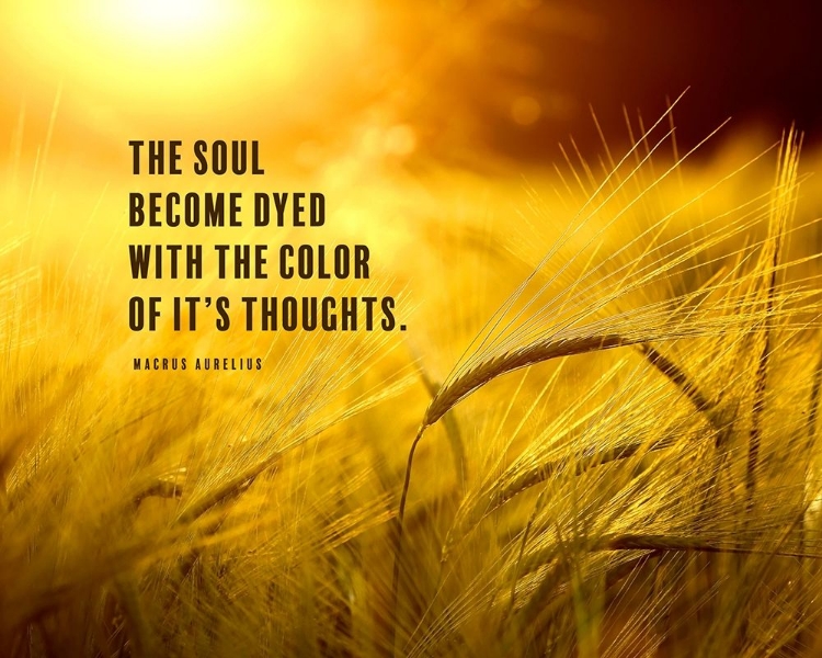 Picture of MACRUS AURELIUS QUOTE: THE SOUL