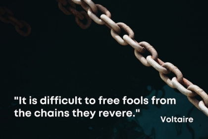 Picture of VOLTAIRE QUOTE: FREE FOOLS