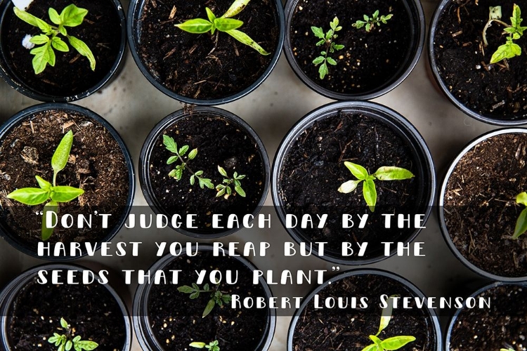 Picture of ROBERT LOUIS STEVENSON QUOTE: DONT JUDGE