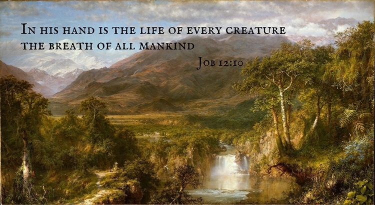 Picture of BIBLE VERSE QUOTE JOB 12:10, FREDERIC EDWIN CHURCH - CHURCH HEART OF THE ANDES