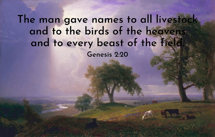 Picture of BIBLE VERSE QUOTE GENESIS 2:20, ALBERT BIERSTADT - CALIFORNIA SPRING