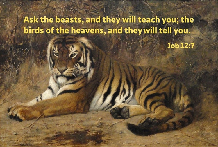 Picture of BIBLE VERSE QUOTE JOB 12:7, JEAN-LEON GEROME - TIGER II